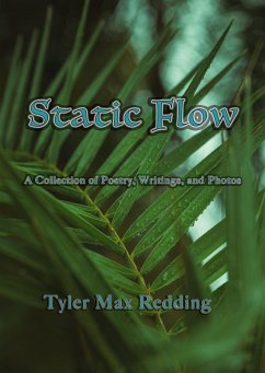 Static Flow (eBook, ePUB) - Redding, Tyler Max