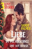 Liebe im Pulverschnee und auf Hawaii: 3 Love Stories (eBook, ePUB)