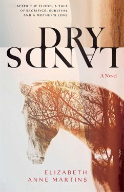 Cover Dry Lands (eBook, ePUB)