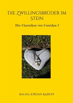 Die Zwillingsbrüder im Stein (eBook, ePUB)