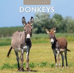 Donkeys 2024 Square Wall Calendar