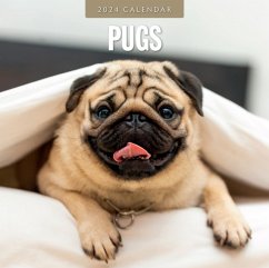 Cover Pugs 2024 Square Wall Calendar