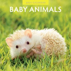 Baby Animals 2024 Square Wall Calendar - Red Robin Publishing Ltd.