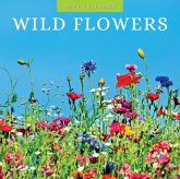 Wildflowers 2024 Square Wall Calendar Wildflowers 2024 Square Wall Calendar