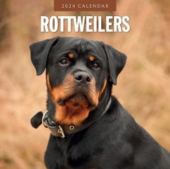 Cover Rottweilers 2024 Square Wall Calendar