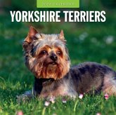 Yorkshire Terriers 2024 Square Wall Calendar Yorkshire Terriers 2024 Square Wall Calendar