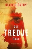 Det tredje ögat (eBook, ePUB)