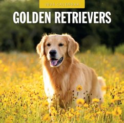 Cover Golden Retrievers 2024 Square Wall Calendar