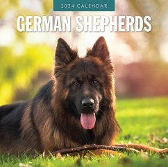 Cover German Shepherds 2024 Square Wall Calendar
