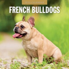 Cover French Bulldogs 2024 Square Wall Calendar