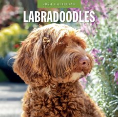 Cover Labradoodles 2024 Square Wall Calendar