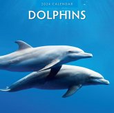 Dolphins 2024 Square Wall Calendar Dolphins 2024 Square Wall Calendar