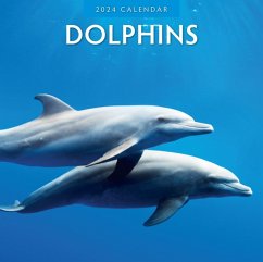 Dolphins 2024 Square Wall Calendar - Red Robin Publishing Ltd.