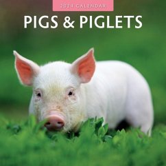 Cover Pigs & Piglets 2024 Square Wall Calendar