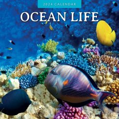 Ocean Life 2024 Square Wall Calendar - Red Robin Publishing Ltd.