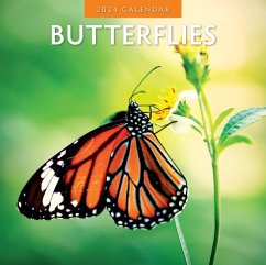 Cover Butterflies 2024 Square Wall Calendar