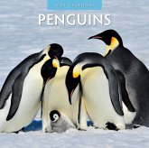 Penguins 2024 Square Wall Calendar