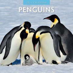 Cover Penguins 2024 Square Wall Calendar
