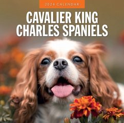 Cavalier King Charles Spaniels 2024 Square Wall Calendar - Red Robin Publishing Ltd.