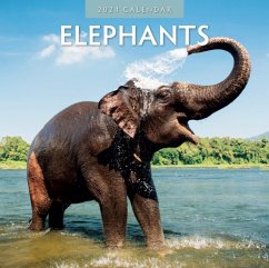 Elephants 2024 Square Wall Calendar - Red Robin Publishing Ltd.