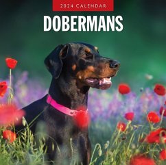 Cover Dobermans 2024 Square Wall Calendar