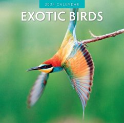 Cover Exotic Birds 2024 Square Wall Calendar