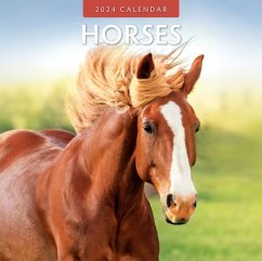 Cover Horses 2024 Square Wall Calendar