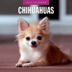 Chihuahuas 2024 Square Wall Calendar - Red Robin Publishing Ltd.