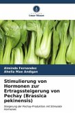 Stimulierung von Hormonen zur Ertragssteigerung von Pechay (Brassica pekinensis)