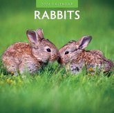 Rabbits 2024 Square Wall Calendar