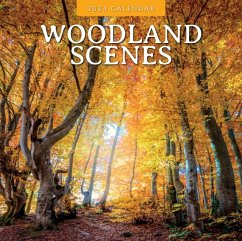 Woodland Scenes 2024 Square Wall Calendar - Red Robin Publishing Ltd.