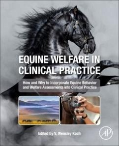 Equine Welfare in Clinical Practice