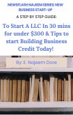 New Business Start-Up A Step By Step Guide: To Start A LLC in 30 Minutes For Under $300 & Tips To Start Building Business Credit Today! (NewsFlash Najeem Series, #1) (eBook, ePUB)