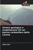 Sintesi geologica e modellazione 2D nel bacino carbonifero della Lorena