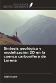 Síntesis geológica y modelización 2D en la cuenca carbonífera de Lorena Síntesis geológica y modelización 2D en la cuenca carbonífera de Lorena