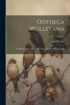 Ootheca Wolleyana - Wooley, John