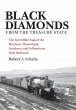 Black Diamonds from the Treasure State... - Bild 1