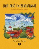 ¿Qué pasó en Bracatanga? (eBook, ePUB)