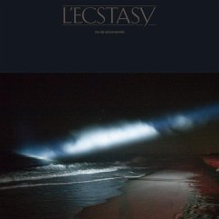 L'Ecstacy - Tiga & Hudson Mohawke