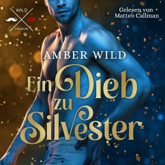 Ein Dieb zu Silvester (MP3-Download) - Wild, Amber