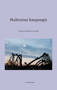 Nuhruiset kaupungit (eBook, ePUB)