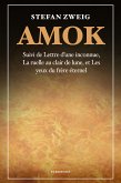 Amok (eBook, ePUB)