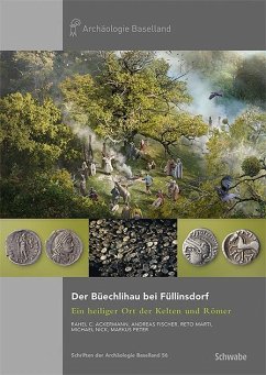 Der Büechlihau bei Füllinsdorf - Ackermann, Rahel C.;Fischer, Andreas;Marti, Reto