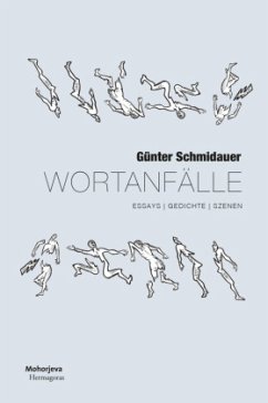 Wortanfälle - Schmidauer, Günter