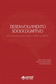 Desenvolvimento sociocognitivo (eBook, ePUB)