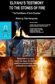 Eliyahu's Testimony to the Stones of Fire (eBook, ePUB) Eliyahu's Testimony to the Stones of Fire (eBook, ePUB)