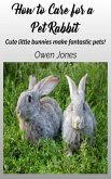 How To Care For A Pet Rabbit