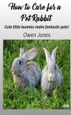 How To Care For A Pet Rabbit