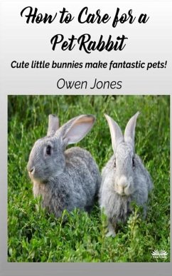 How To Care For A Pet Rabbit - Owen Jones