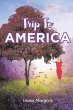Trip to America - Bild 1